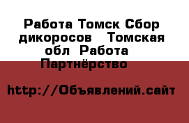 Работа Томск-Сбор дикоросов - Томская обл. Работа » Партнёрство   